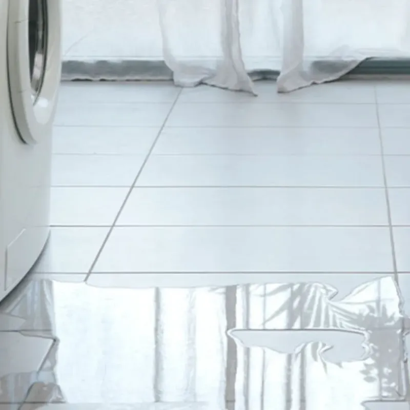 Appliance Leak Cleanup in Adams Morgan, DC